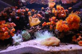 016_2 (1).jpg 016_2 (1).jpg