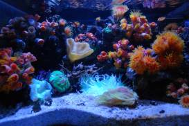 016_3 (1).jpg 016_3 (1).jpg