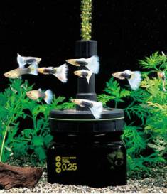 1a02502.jpg 1a02502.jpg