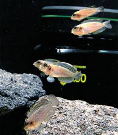 1a02503.jpg 1a02503.jpg