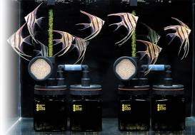 02_image02.jpg 02_image02.jpg