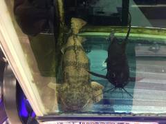 image.jpeg image.jpeg