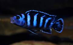 DSC_0042-2.jpg DSC_0042-2.jpg