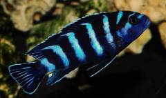 DSC_0090.jpg DSC_0090.jpg