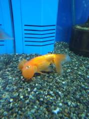 IMG_20191211_144008.jpg IMG_20191211_144008.jpg