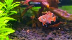 fb6GmbY6uRvc5DjqBcLaLjJQ840.cnt.jpg fb6GmbY6uRvc5DjqBcLaLjJQ840.cnt.jpg