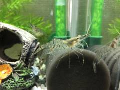 F875294B-B8F6-4AC6-9D4B-503BD8E7B76E.jpeg F875294B-B8F6-4AC6-9D4B-503BD8E7B76E.jpeg