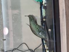 20220926_184417.jpg 20220926_184417.jpg