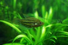 IMGP3548.jpg IMGP3548.jpg