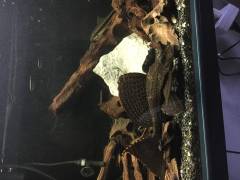 image_0.jpeg image_0.jpeg