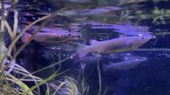 IMG_8183.jpeg IMG_8183.jpeg