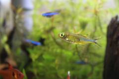 S__6234188.jpg S__6234188.jpg