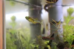 S__6234189.jpg S__6234189.jpg