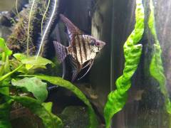 IMG_2023-04-22-13-31-42-048.jpg IMG_2023-04-22-13-31-42-048.jpg