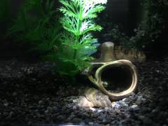 image.jpeg image.jpeg