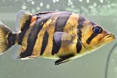 Eu6f1gqVcAEMhOC.jpg Eu6f1gqVcAEMhOC.jpg