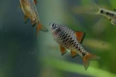 IMG_2815.jpg IMG_2815.jpg