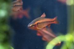 110A0230.jpg 110A0230.jpg