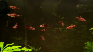 20210405_233439_03_saved.jpg 20210405_233439_03_saved.jpg