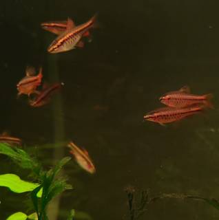 Screenshot_20210406-031232_Gallery.jpg Screenshot_20210406-031232_Gallery.jpg