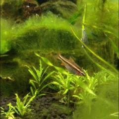 image_0.jpeg image_0.jpeg