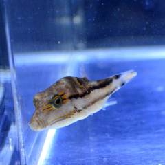 0000000001.jpg 0000000001.jpg