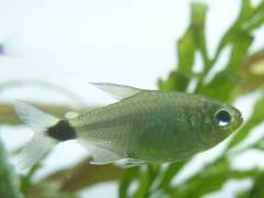 P1020220-1_0.jpg P1020220-1_0.jpg