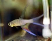 terra5.jpg terra5.jpg