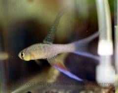 terra5.jpg terra5.jpg