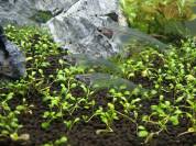 DSC00880.jpg DSC00880.jpg