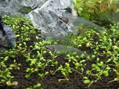 DSC00880.jpg DSC00880.jpg