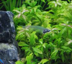 DSC_0940.jpg DSC_0940.jpg