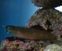 20141008_145920_0.jpg 20141008_145920_0.jpg