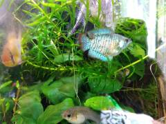 IMG_2023-02-04-13-28-22-063.jpg IMG_2023-02-04-13-28-22-063.jpg