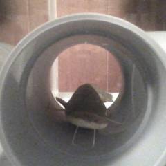 2018-12-14-190030.jpg 2018-12-14-190030.jpg