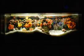 014_2 (1).jpg 014_2 (1).jpg