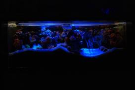 014_3 (1).jpg 014_3 (1).jpg