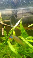 1446534159332.jpg 1446534159332.jpg