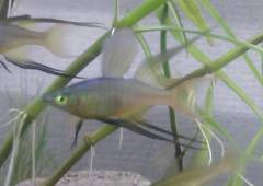 DSC_0629~2.jpg DSC_0629~2.jpg