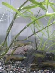 IMG_20160724_220413351.jpg IMG_20160724_220413351.jpg