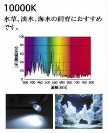 b1000004.jpg b1000004.jpg