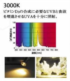 b300004.jpg b300004.jpg