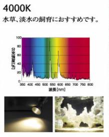 b400004.jpg b400004.jpg