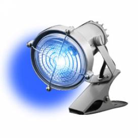 li04_0104.jpg li04_0104.jpg