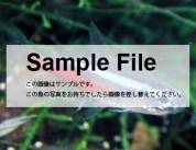 samplefile.jpg samplefile.jpg
