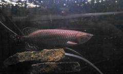 image.jpeg image.jpeg