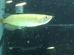 image_0.jpeg image_0.jpeg