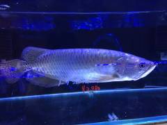 image_1.jpeg image_1.jpeg