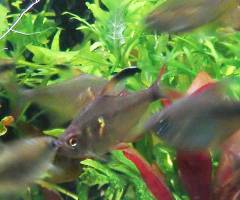 319_filtered.jpg 319_filtered.jpg