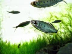 DSC_2378~3_0.jpg DSC_2378~3_0.jpg